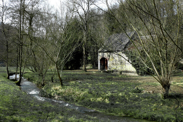 Loisirs Balade cueillette Crupet la vallée Bocq