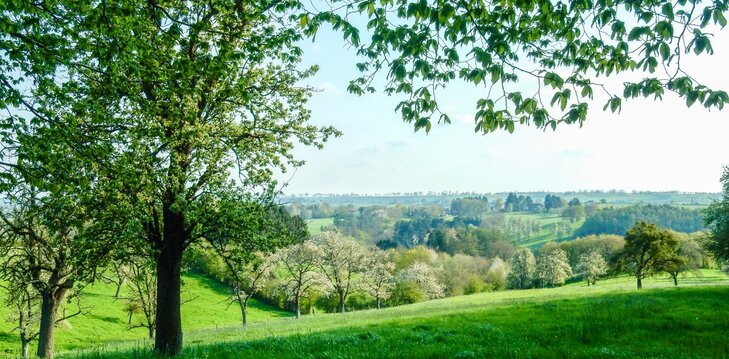 Loisirs Promenade cueillette Aubel les bocages Pays Herve