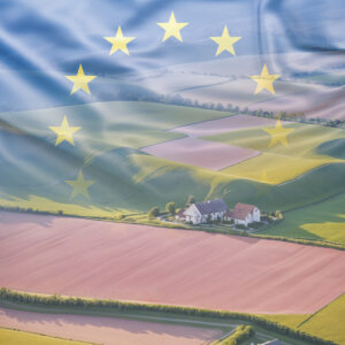 Conférences Pourquoi politique agricole commune dans l Union européenne P. Burny