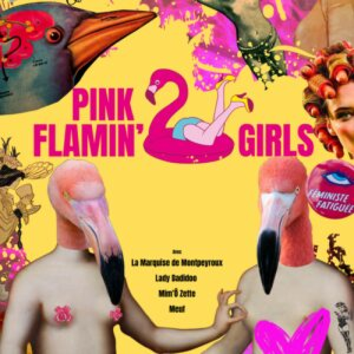 Concerts Bal Centre : Pink Flamin  Girls
