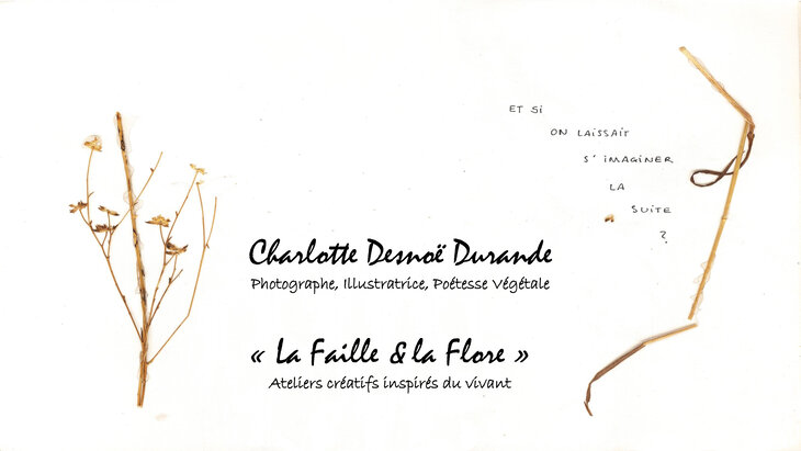 Stages,cours  La Faille la Flore   atelier créatif avec Charlotte Desnoë