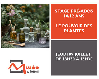 Stages,cours Stage pré-ados 10/12 : pouvoir plantes