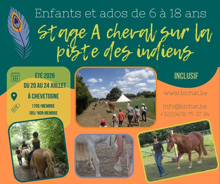 Stages,cours A cheval, la piste indiens