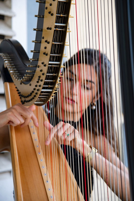 Concerts Chloé Delvenne | concert harpe