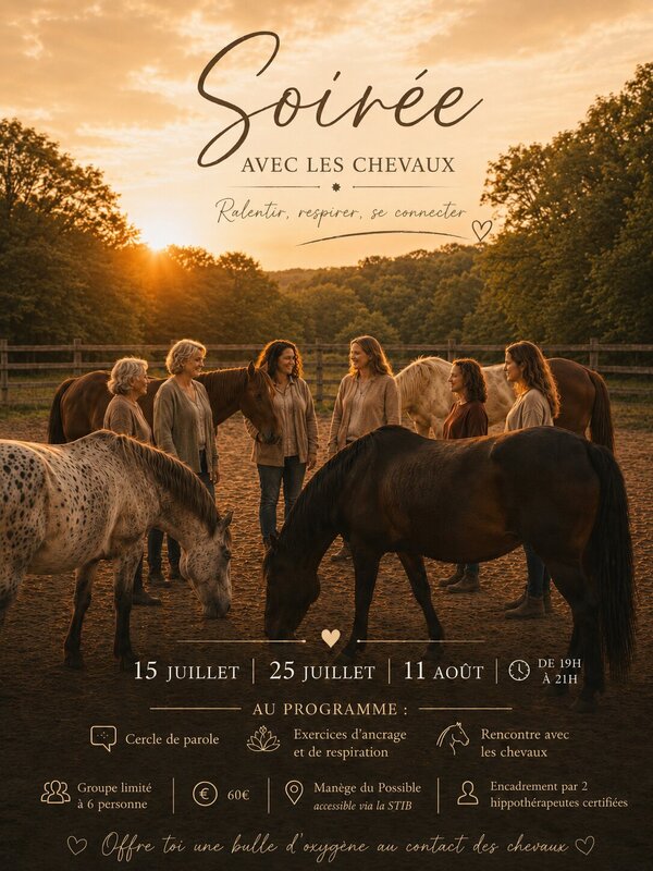 Stages,cours Une soirée avec chevaux