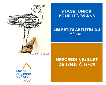 Stages,cours Stage Junior ans : petits artistes métal !