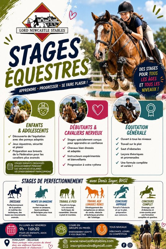 Stages,cours Stage d équitation d été