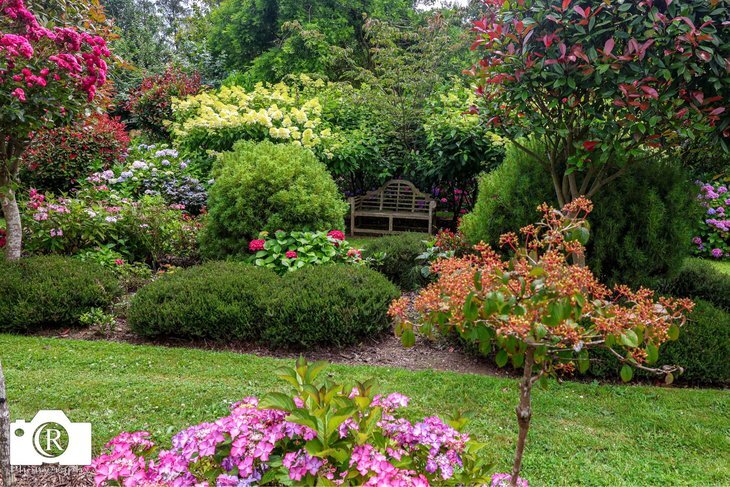Loisirs « Hortensias fête »  à Celles