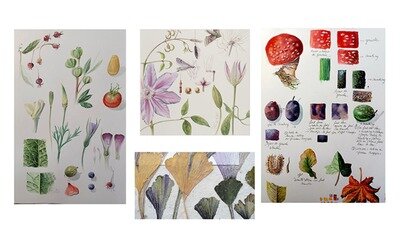 Stages,cours Carnet voyage de jardin