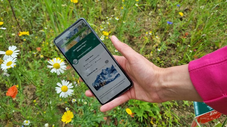 Loisirs Les Plantes Stars Botani’Pop