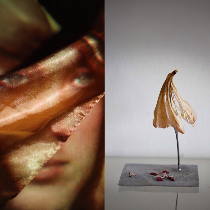 Expositions L’une L’autre