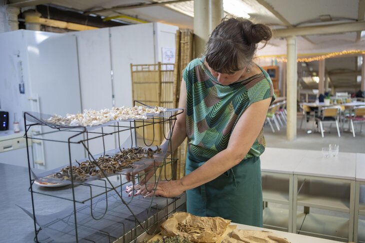 Stages,cours Réalisez votre produit gourmand base plantes