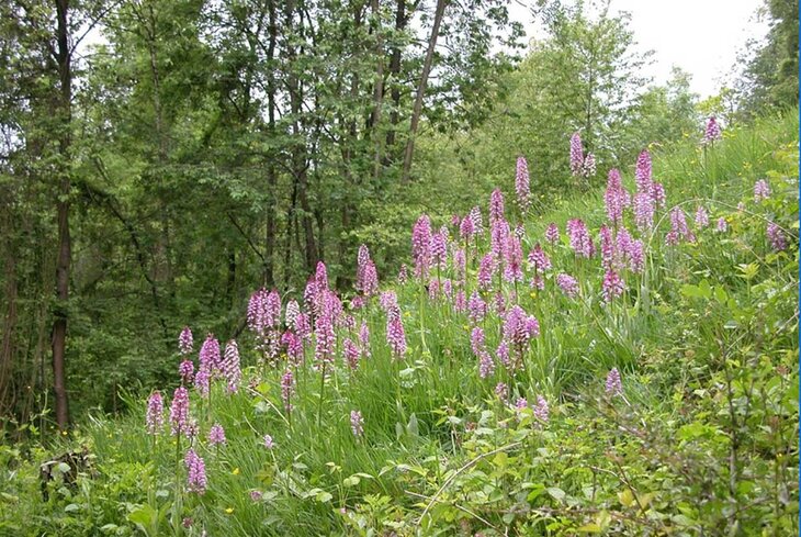 Loisirs Visite guidée dans Réserve la Montagne Pierre