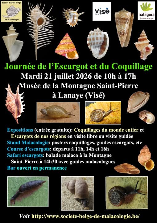Loisirs Journée l Escargot du Coquillage