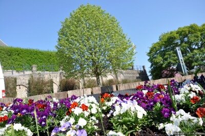 Loisirs Les Estivales - Arlon, ville fleurie