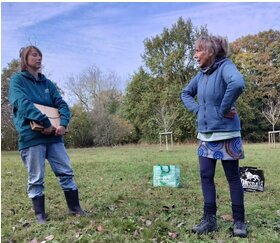 Loisirs Découverte ludique arbres automne