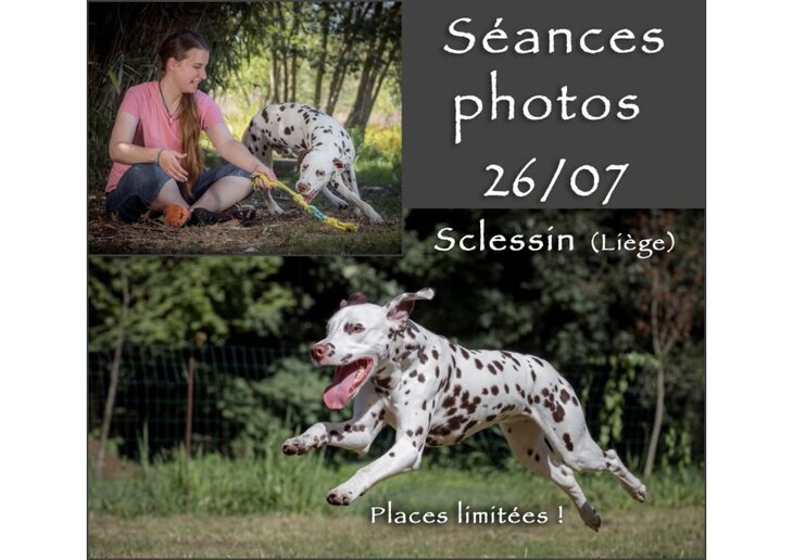 Loisirs Séances photos pour chiens (sur terrain clôturé)