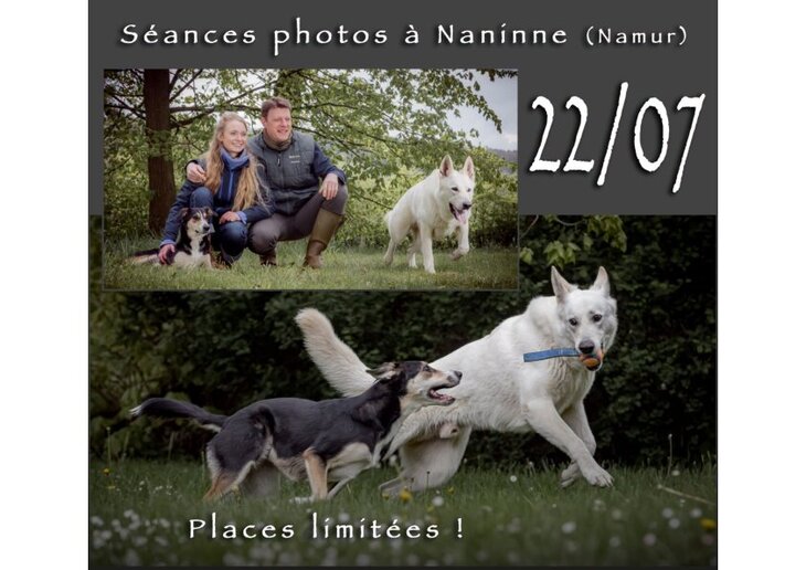 Loisirs Séances photos pour chien (dimain privé clôturé)