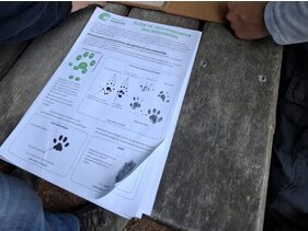 Loisirs Visite famille : la piste ... traces d animaux