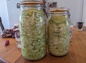 Stages,cours Lactofermentation
