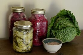 Stages,cours Manger légumes lactofermentés