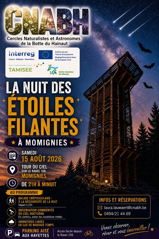 Loisirs La nuit étoiles filantes