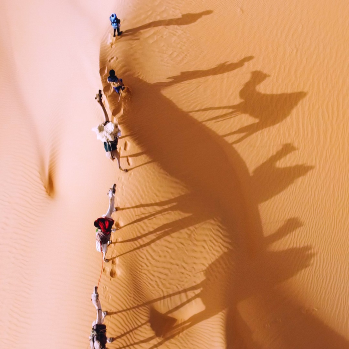 Conférences Document-Terre : Orahala, Théâtre Nomade Sahara