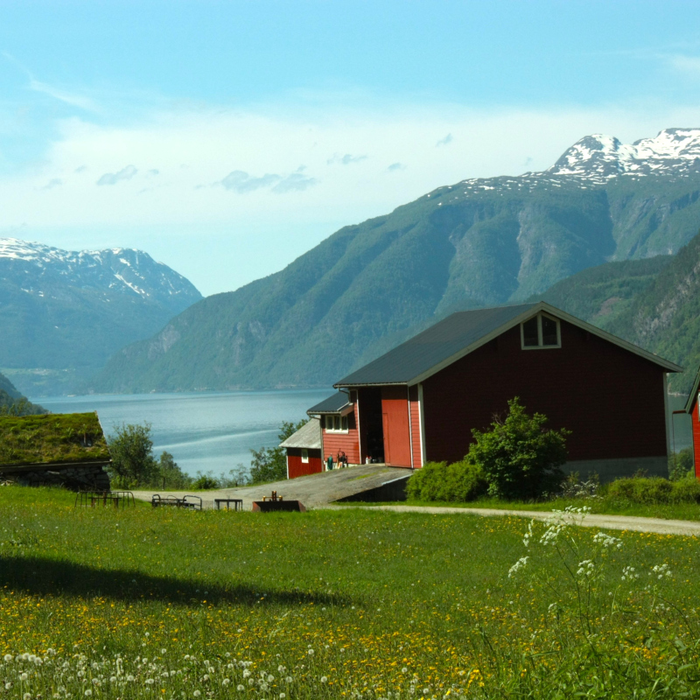 Conférences Document-Terre : Norvège, contre courant