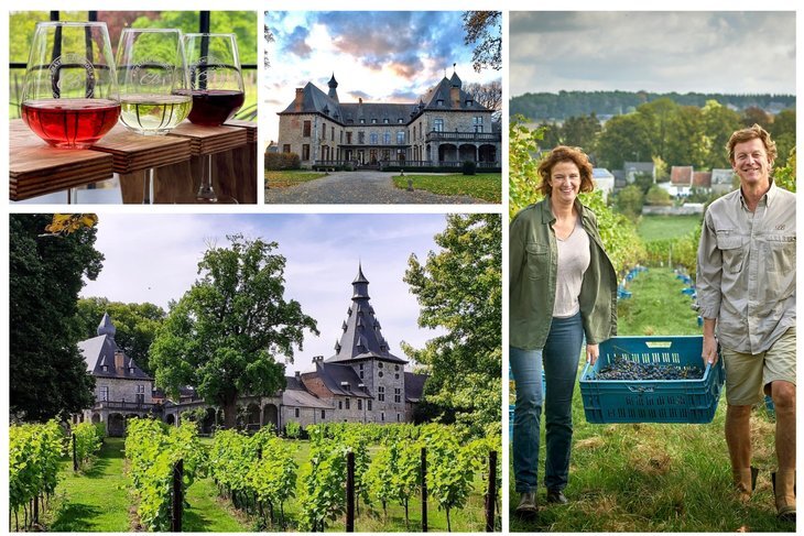 Loisirs Balade bucolique cœur Château Bioul & son vignoble