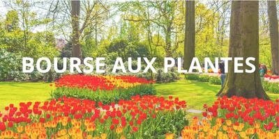 Loisirs Bourse plantes : partagez, échangez jardinez !