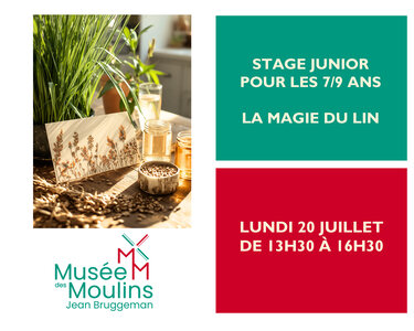 Stages,cours Stage Junior pour 7/9 : magie lin