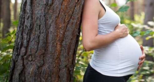 Conférences Conférence : naissance le mystère derrière cette dans ventre : les