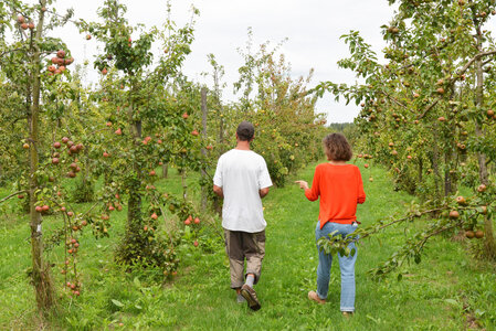 Loisirs Visite guidée Espaces naturels régionaux