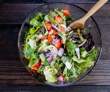 Stages,cours Salades composées estivales