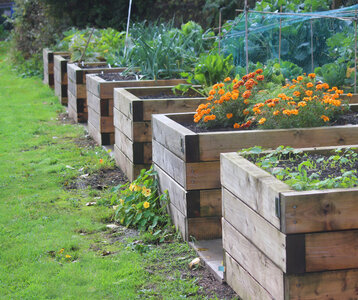 Loisirs Visite d un jardin potager