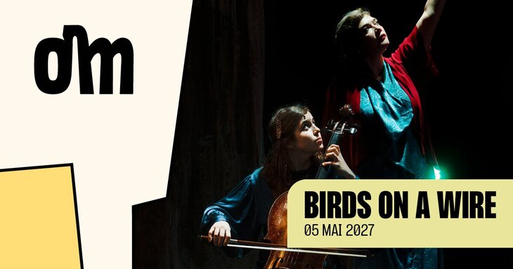Concerts Birds a Wire