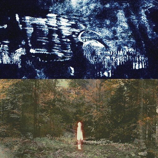 Concerts Concerts + lectures | “Dans bleu” Désespoir singes