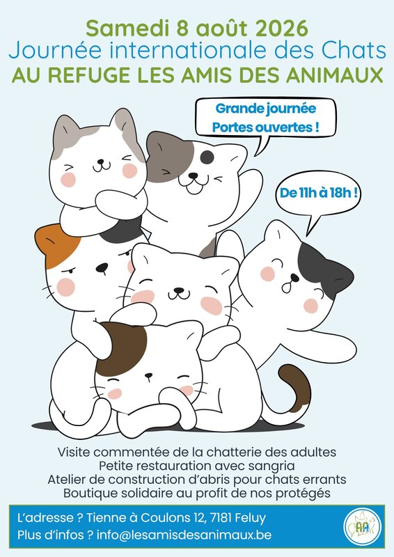 Loisirs La journée internationale chat