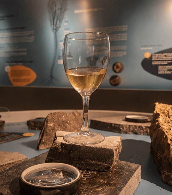Loisirs Du et Pierres dégustation vins