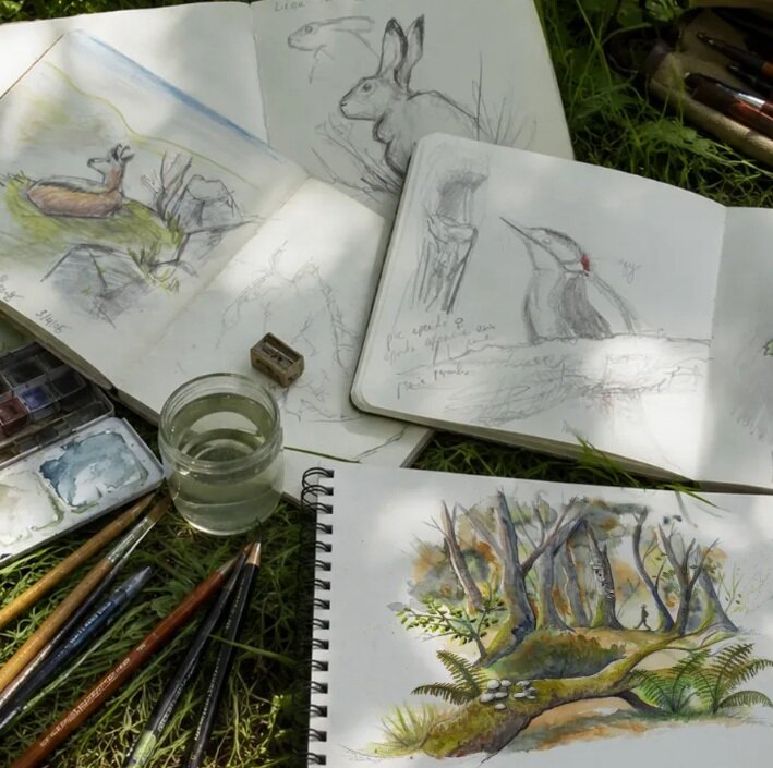 Loisirs Dessin Naturaliste