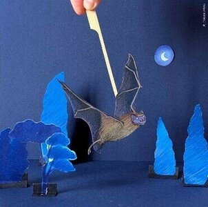 Spectacles Atelier d’été : Théâtre papier, chauve souris scène !