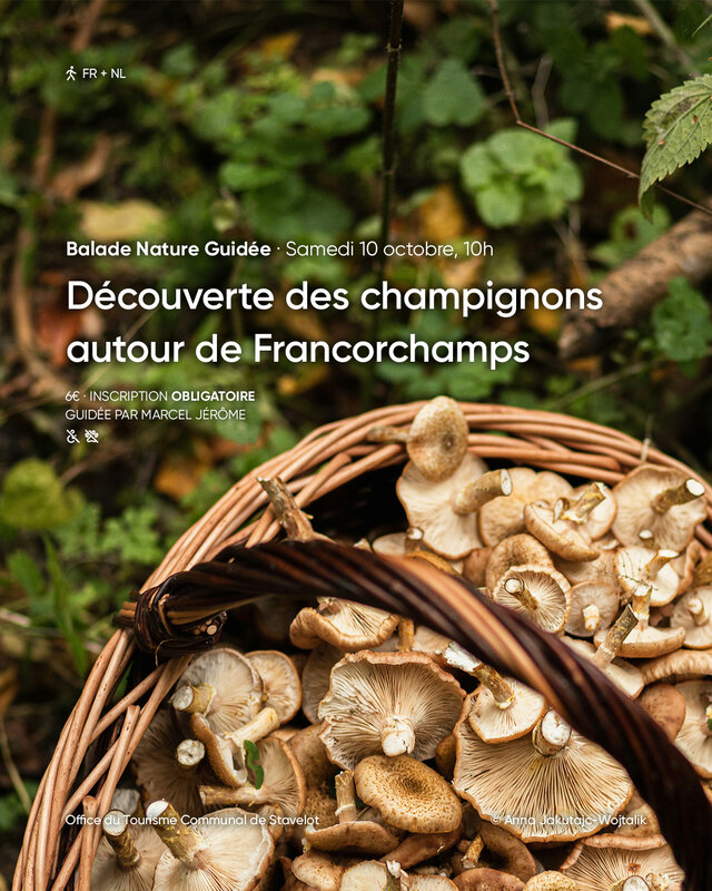 Loisirs Balade Nature Guidée Découverte champignons autour Francorchamps