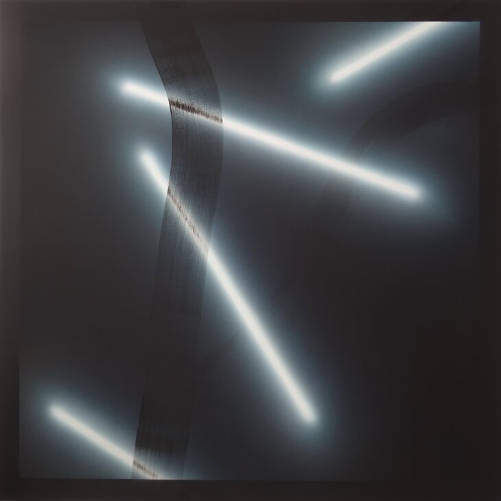 Expositions Nicolas Delprat - Humming World