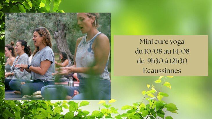 Stages,cours Mini cure yoga d été rituels: harmonisation chakras