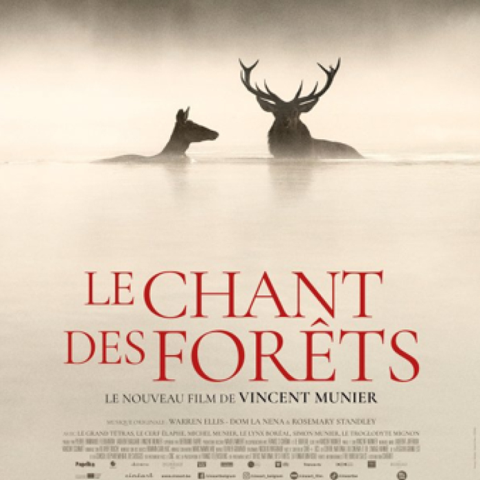 Spectacles Le chant forêts
