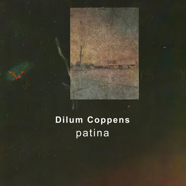 Expositions Solo-Expo: Dilum Coppens, patina