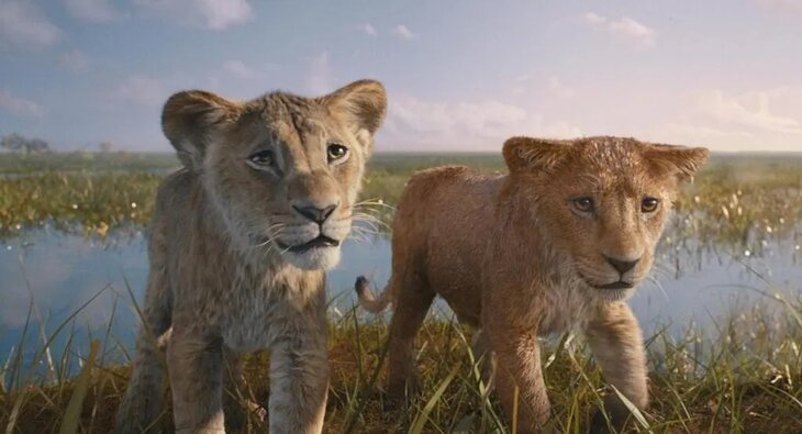 Spectacles Cinéma plein  Mufasa : Roi Lion  Barry Jenkins