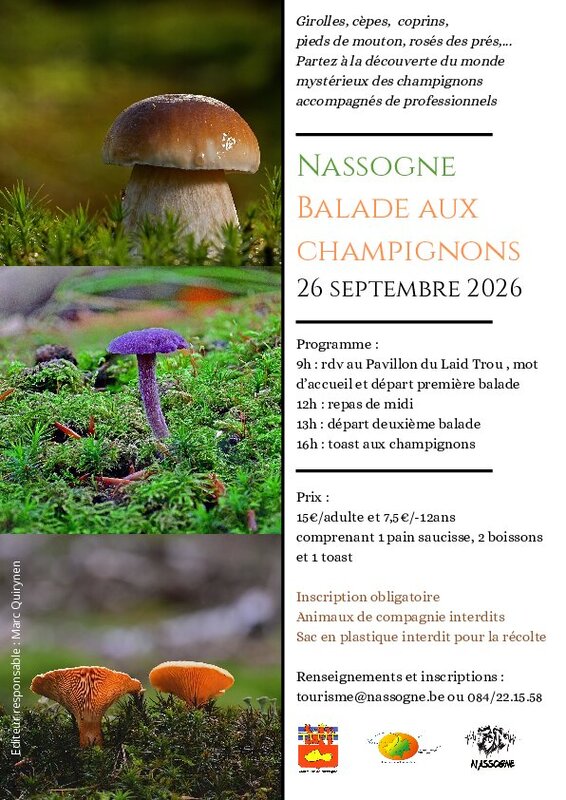 Loisirs Balade champignons