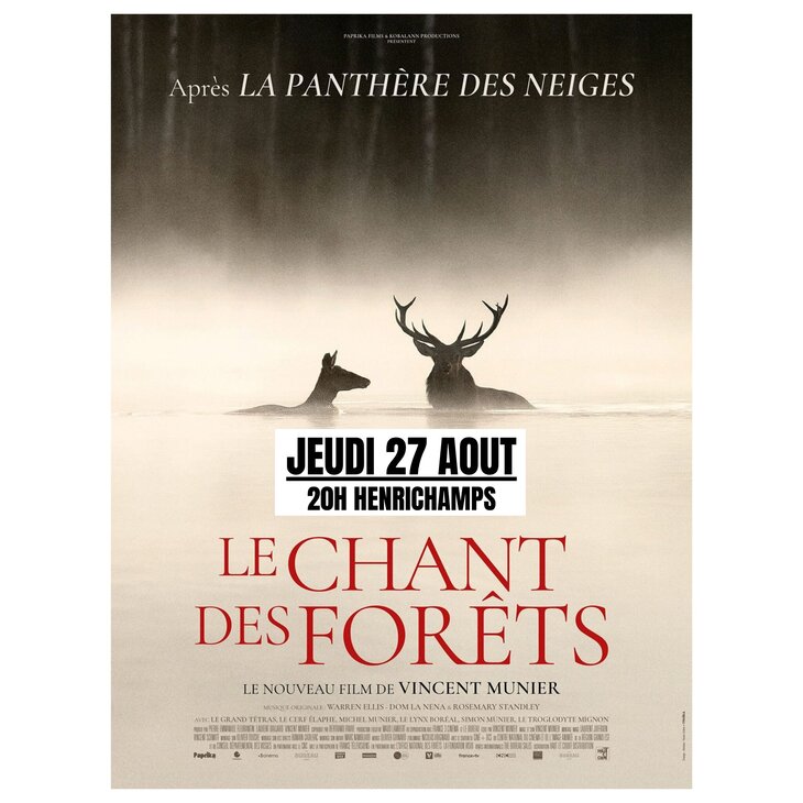 Spectacles  Le Chant Forêts  Vincent Munier