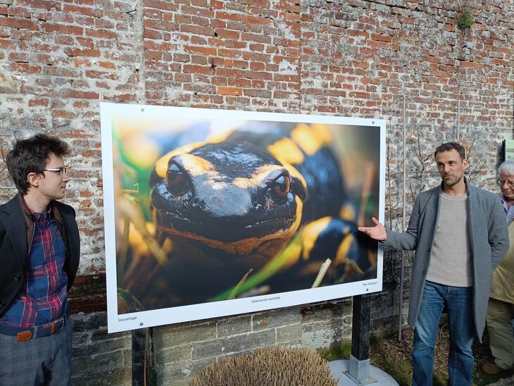 Expositions Exposition Vivant 